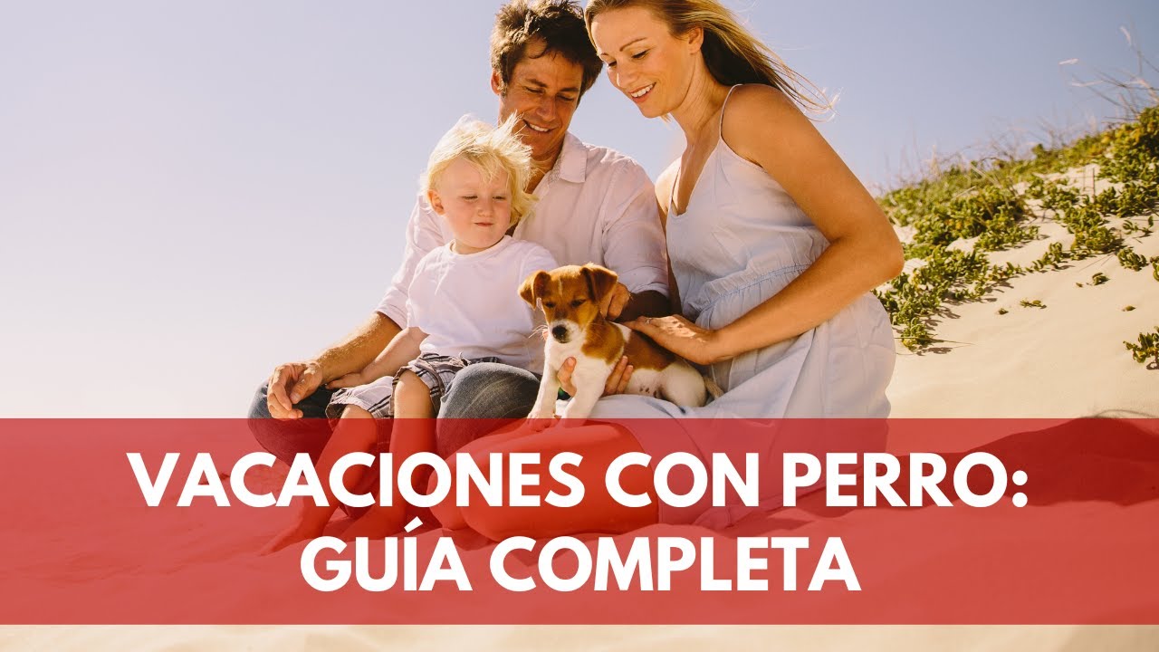 Crucero con perros: ¿Está permitido?
